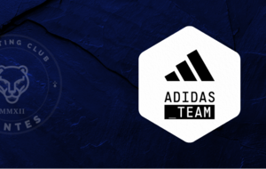 🤝 | ADIDAS TEAM